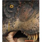 T-Rex Head Life-Size Statue Open Mouth Oxmox Muckle