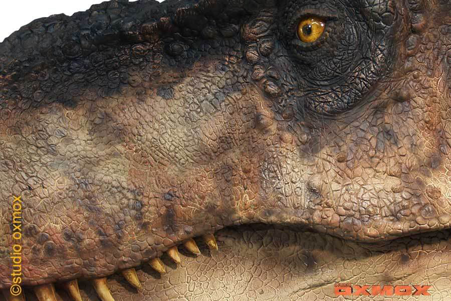 T-Rex Life Size - Taille réelle